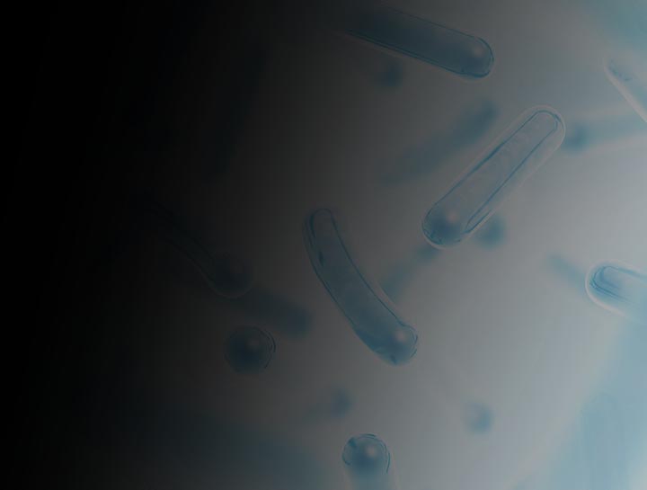 Probiotic